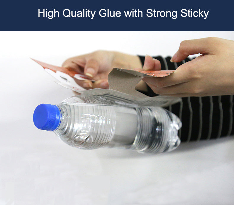 Roach Motel 10 Pack - Effective Cockroach Killer