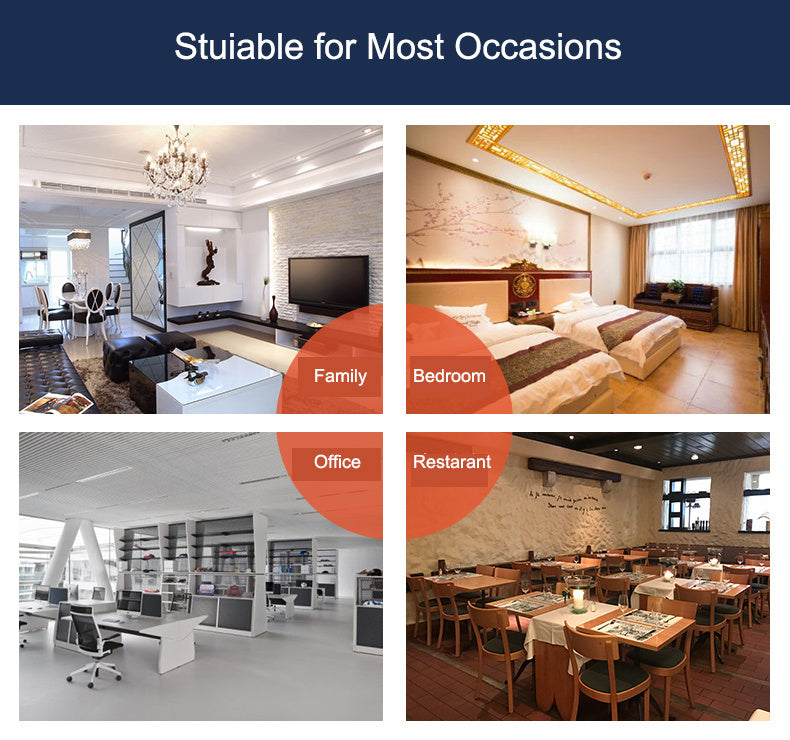 Roach Motel 10 Pack - Effective Cockroach Killer