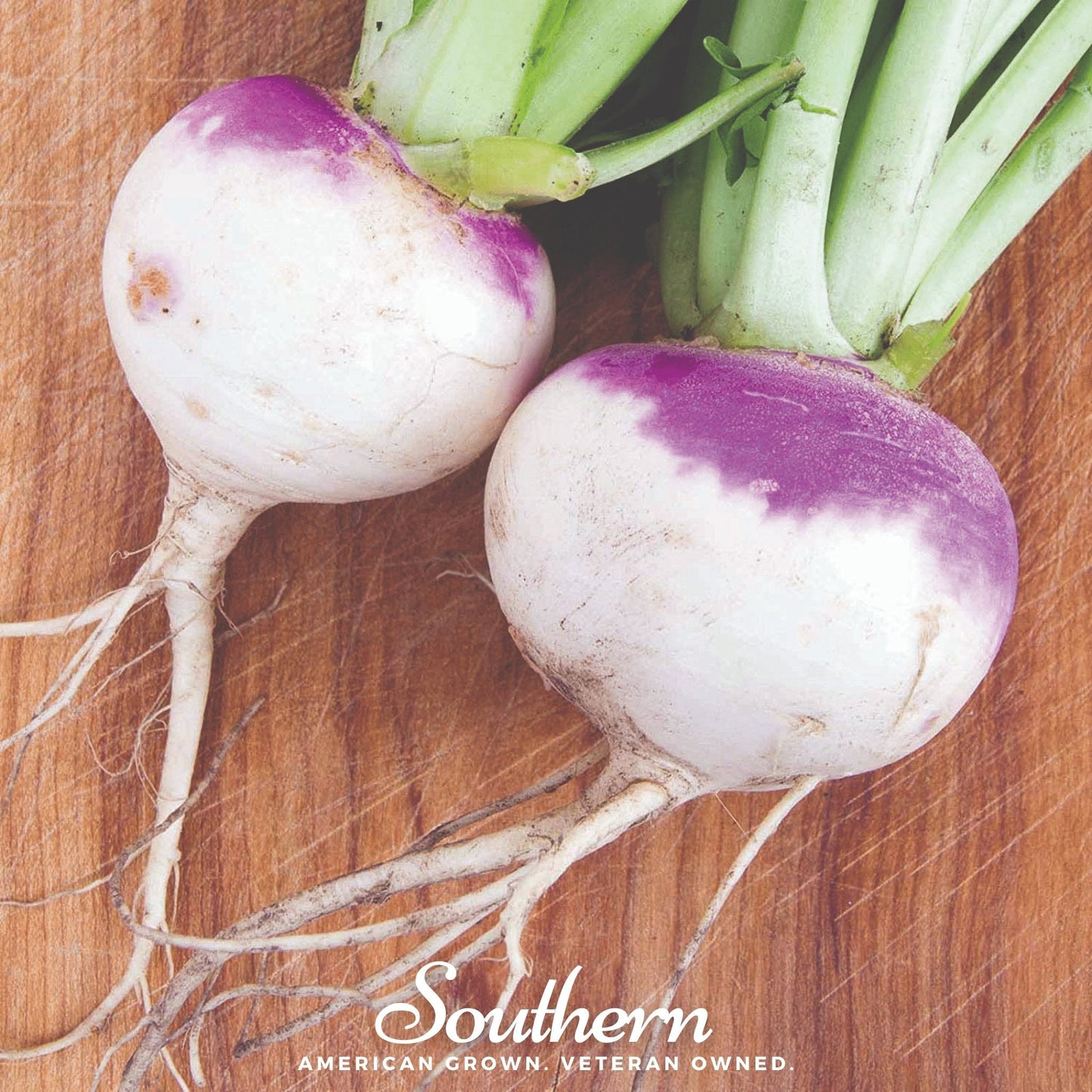American Purple Top Rutabaga – 200 Seeds