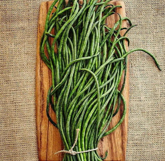 Yard Long Bean Seeds | Asian Asparagus Green Beans | Vigna unguiculata | USA Grown, 2025