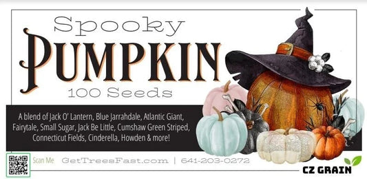 Spooky Blend Pumpkin Seeds for Planting - 100 Mixed Seeds - Heirloom Varieties - Cucurbita pepo
