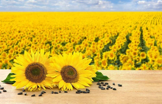 Black Oil Sunflower Seeds for Planting - 100+ Seeds - Attract Birds - Helianthus annuus - Made in USA