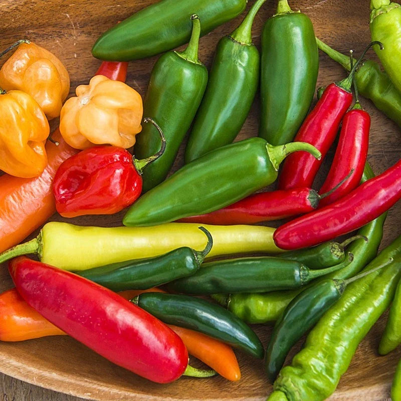Hot and Happy Pepper Mix Seeds - 25+ Heirloom Assortment - Spicy Variety for Home Gardening - Capsicum spp.