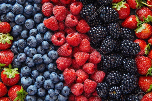 Berry Seed Set - Strawberry, Blueberry, Blackberry, Raspberry - Gift Package - Perfect for Home Gardening