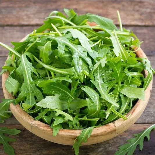 Organic Arugula Seeds 1200 Count | Non-GMO Heirloom | USA Grown