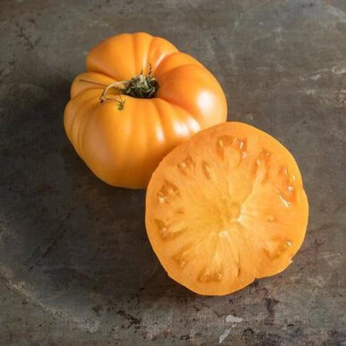 Yellow Brandywine Tomato Seeds - 120+ Heirloom Organic Non-GMO - Solanum lycopersicum