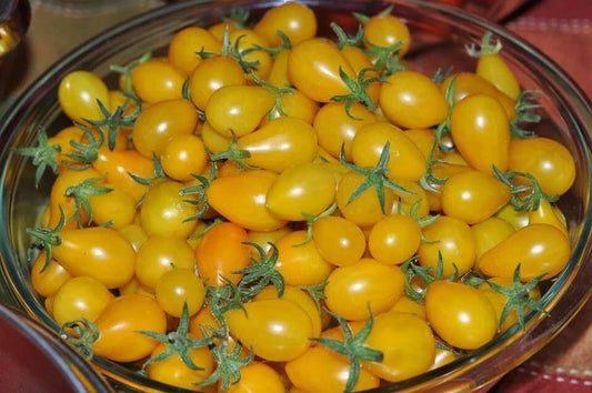 Yellow Pear Tomato Seeds - 120+ Heirloom, Non-GMO, Fresh, Organic (Solanum lycopersicum)