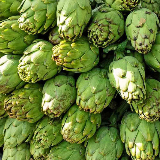 Artichoke Seeds 25 Pack Green Globe Non-GMO Vegetable Garden Seeds Cynara scolymus USA Free Shipping