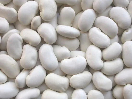 Kidney Bean Seeds - California White Variety - Organic Planting Seeds - Phaseolus vulgaris