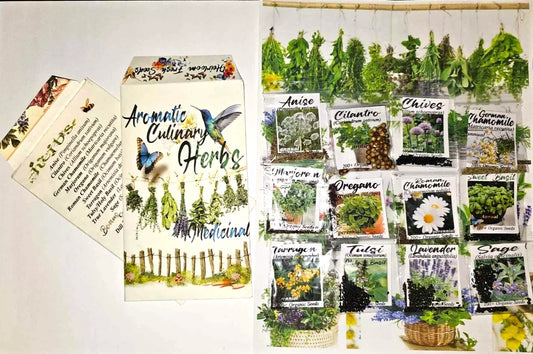 Culinary Garden Herb Seeds Variety Pack 12+ Count Heirloom Fresh Seeds + Bonus Seeds for Home Gardening