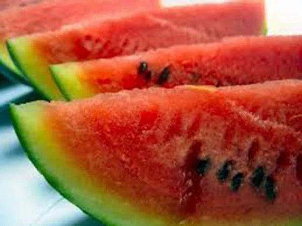 Watermelon Seeds - 100 Heirloom Charleston Grey Seeds - Non-GMO Watermelons - Perfect for Home Gardening