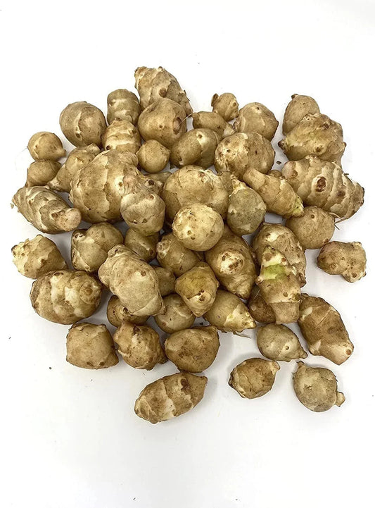 Organic White Sunchoke Tubers for Planting - Helianthus tuberosus - Non-GMO Jerusalem Artichoke, Easy to Grow, Perennial Vegetable