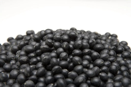 Black Soybean Seeds for Planting - Full Season Variety - Glycine max - Ideal for Sprouts or Garden Growth