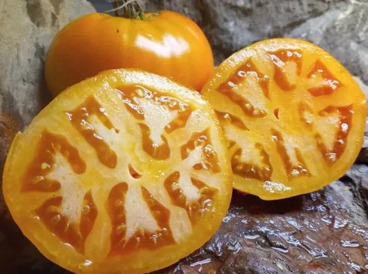 Golden Jubilee Tomato Seeds - 120+ Heirloom Organic Non-GMO Seeds - Solanum lycopersicum