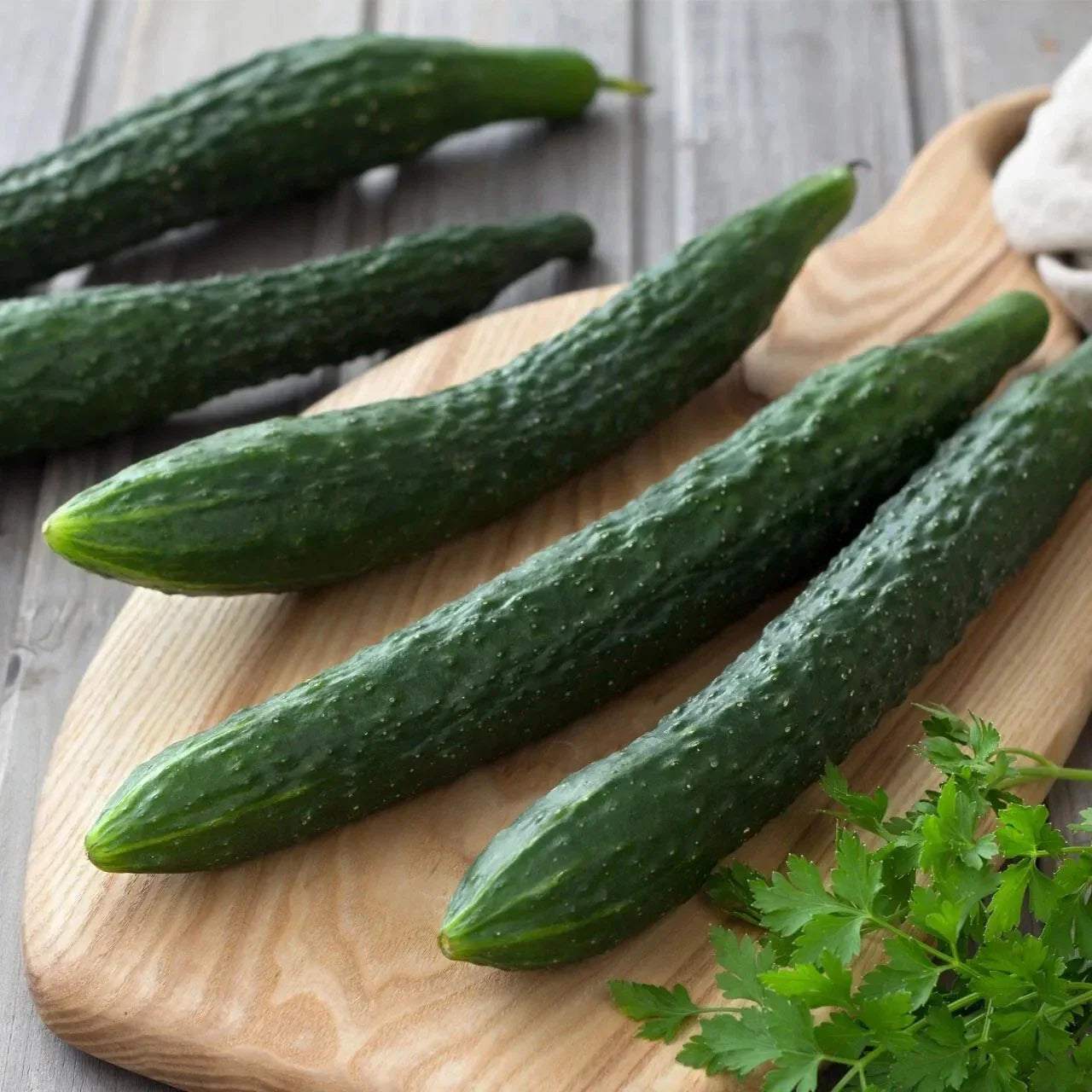Suyo Long Cucumber Seeds - 25+ Heirloom Non-GMO Rare Variety - Cucumis sativus