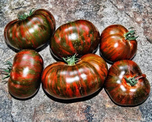 Chocolate Stripe Tomato Seeds - 120+ Heirloom Organic Non-GMO - Rare Variety