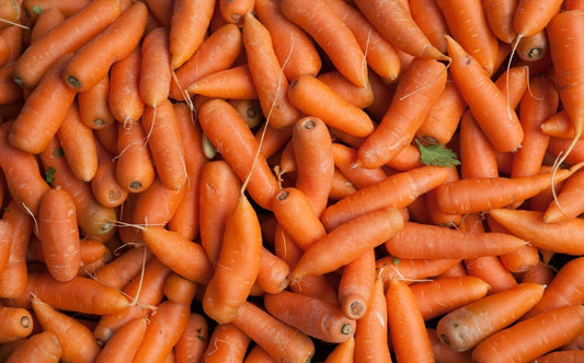 Tendersweet Carrot Seeds - 1000 Seeds - Daucus carota sativus - Heirloom, Sweet Flavor, Organic Gardening Supplies