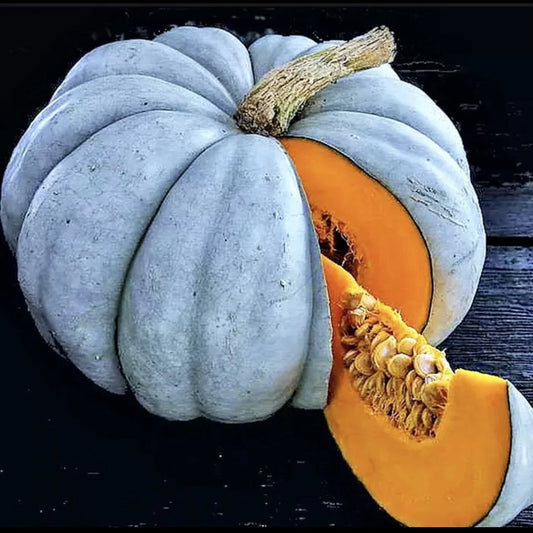 25 Blue Pumpkin Seeds | Jarradale Queensland Cinderella Doll | Rare Variety | Cucurbita maxima
