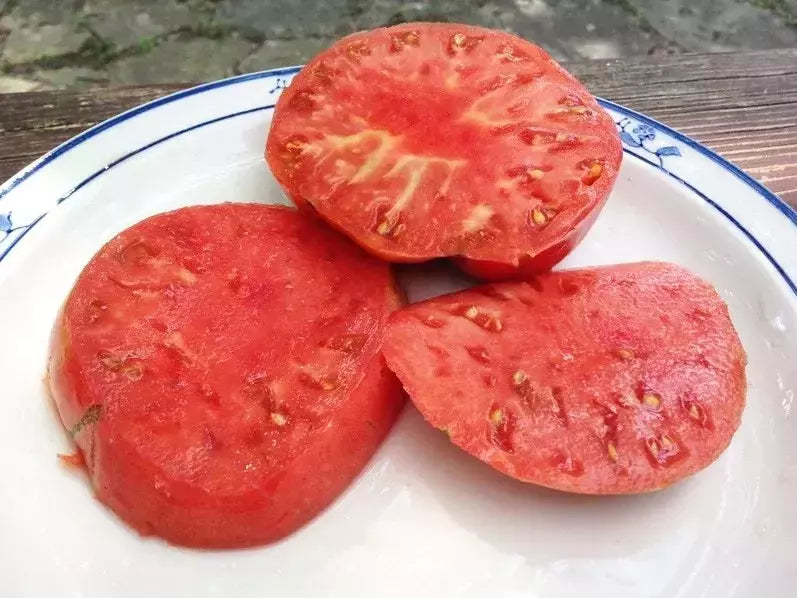 German Johnson Tomato Seeds - 120+ Non-GMO Heirloom Seeds - Organic Heirloom Variety - Solanum lycopersicum