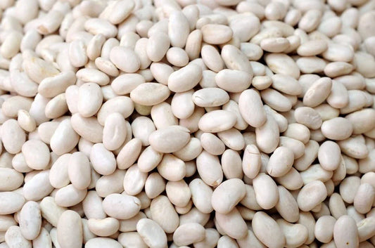 Navy Bean Seeds - 50 Count for Planting - White Kidney Variety - Phaseolus vulgaris