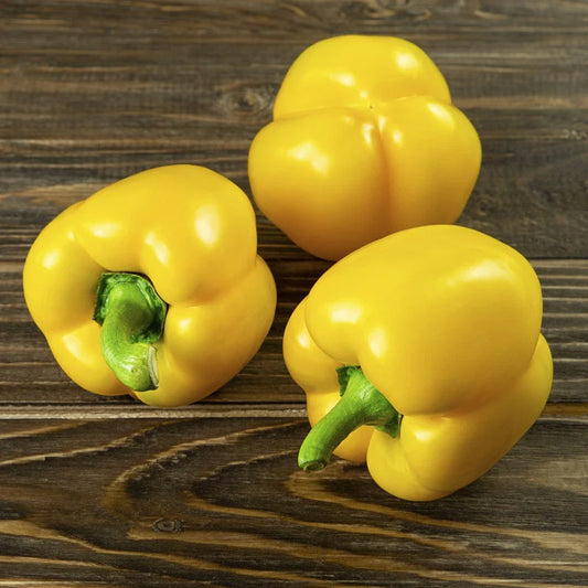 Mini Yellow Bell Pepper Seeds - 100+ Organic Non-GMO - Rare Variety - Capsicum annuum