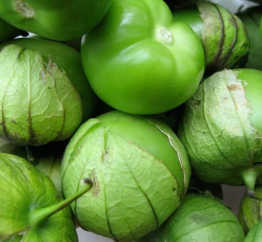 Tomatillo Seeds 200+ "Verde" Latin American Culinary Vegetable - Perfect for Garden Planting, Free Shipping