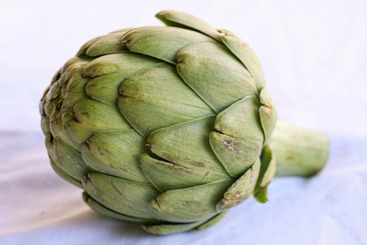 Artichoke Seeds - 5 Pack - Heirloom Variety - Cynara scolymus - Free USA Shipping