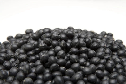 Black Soybean Seeds - 1 lb - Non-GMO for Planting, Sprouts or Full Season, Glycine max