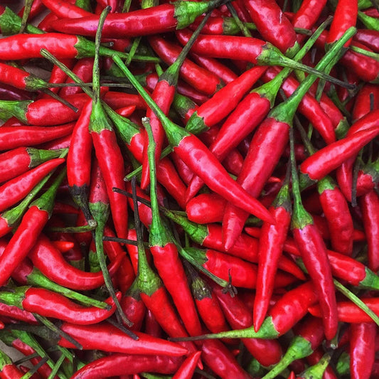 Thai Hot Pepper Seeds | Heirloom Non-GMO Variety | Capsicum annuum | Spicy Chili Seed Pack