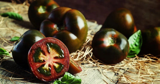 Black Truffle Tomato Seeds - 30+ Heirloom Organic Non-GMO - Rare Variety (Solanum lycopersicum)
