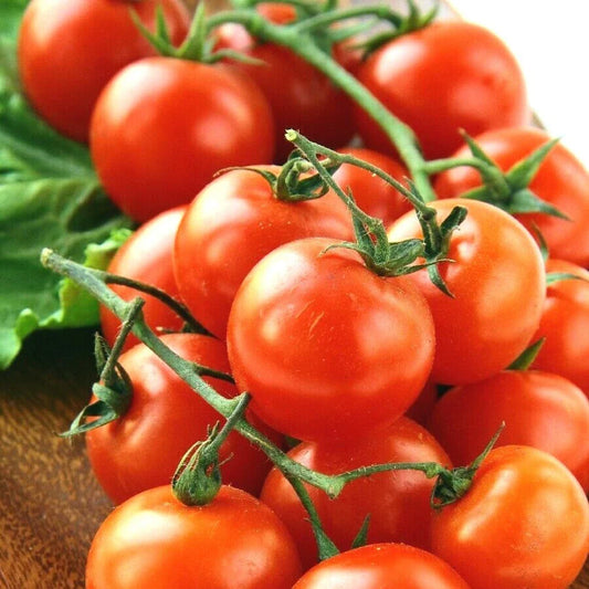 Organic Heirloom Cherry Tomato Seeds - 100+ Premium Vegetable Garden Seeds for Patio & Container Planting