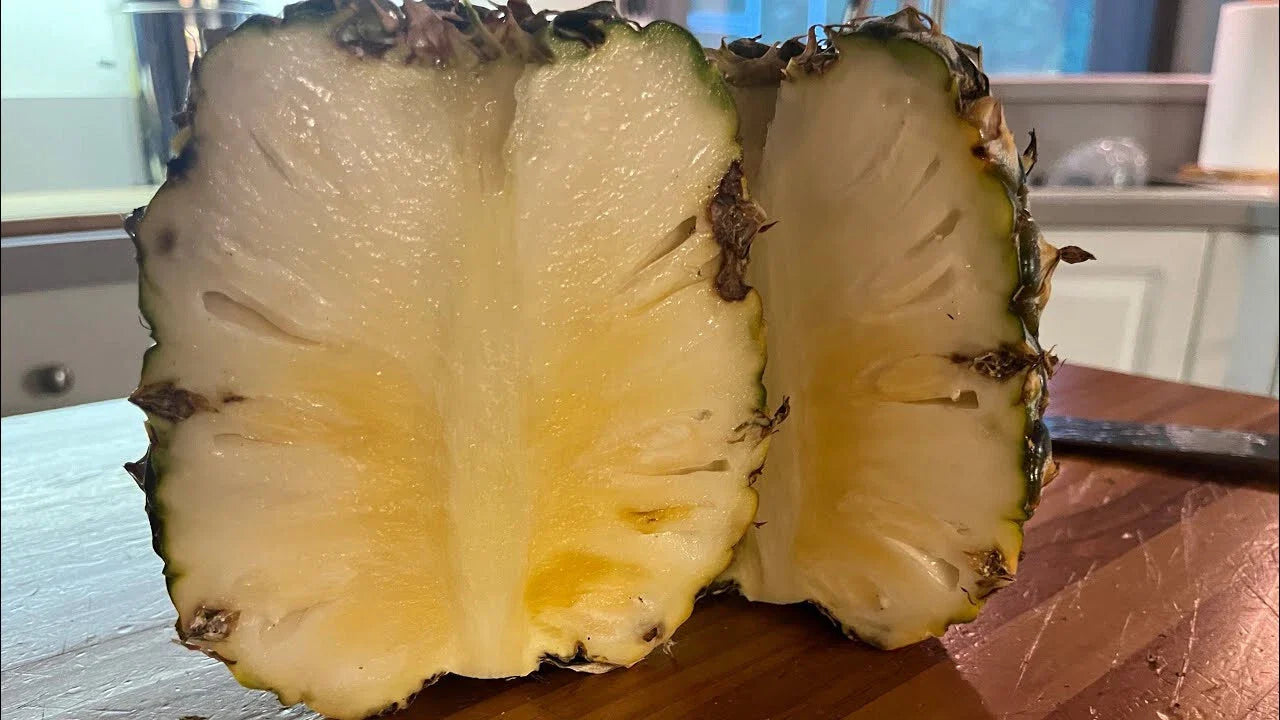 Sugarloaf Pineapple Seeds - 15+ Premium Seeds for Garden Planting - Ananas comosus - USA