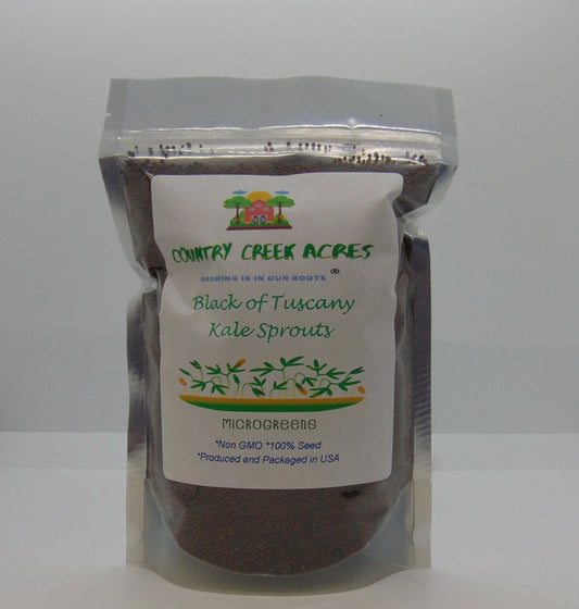Black of Tuscany Kale Seeds - Heirloom Variety - Brassica oleracea 'Nero di Toscana'