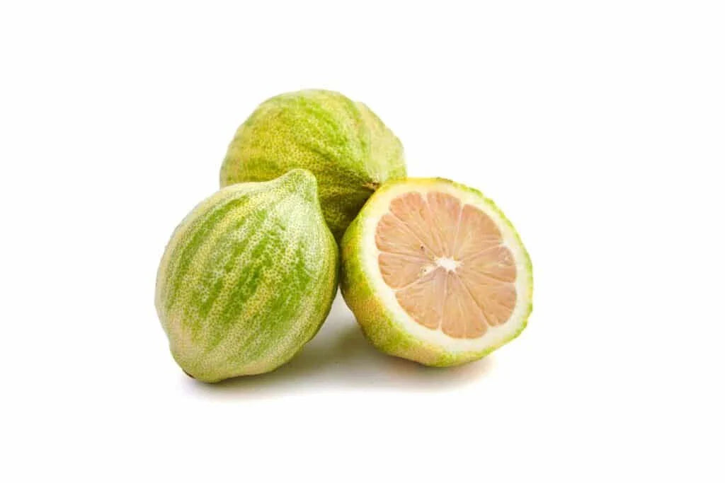 Variegated Pink Lemon Seeds - 5+ Pack for Garden Planting - Citrus limon - USA Fast Shipping