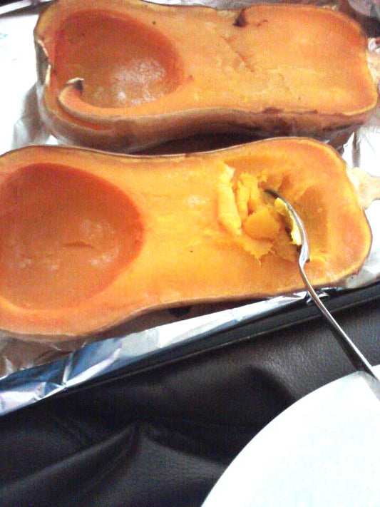 Butternut Squash Seeds - 24 Pack - Cucurbita moschata - GroCo USA - Buy Any 15 Items, Order Ships Free