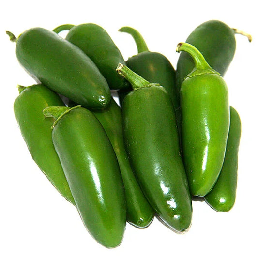 Early Jalapeno Pepper Seeds | Heirloom Non-GMO Variety | Capsicum annuum