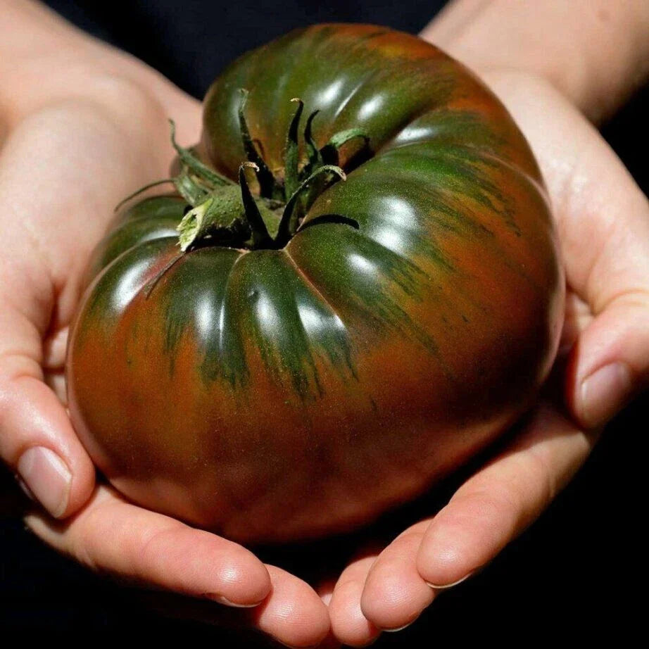 Russian Black Krim Tomato Seeds - 60+ Non-GMO Organic Heirloom Seeds - Fresh Garden Seeds for Planting