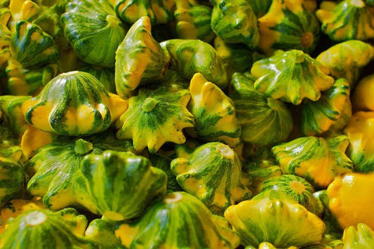 25+ Flying Saucer Squash Seeds for Garden Planting - Cucurbita pepo - Heirloom Variety - Non-GMO Seeds