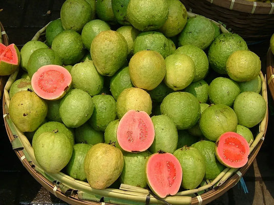 Pink Guava Seeds - 20 Pack - Psidium guajava - Tropical Fruit Seeds - Free Shipping
