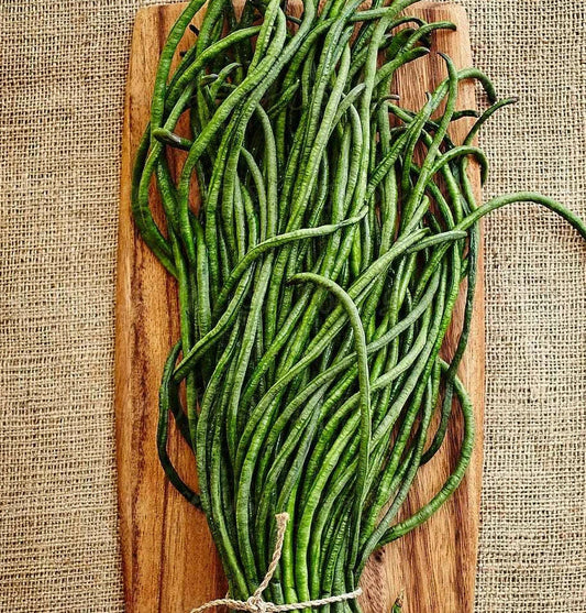 30 Yard Long Bean Seeds - Yu Long Variety, Chinese Green Beans, Asian Snake Pods - 2025 Seed Pack