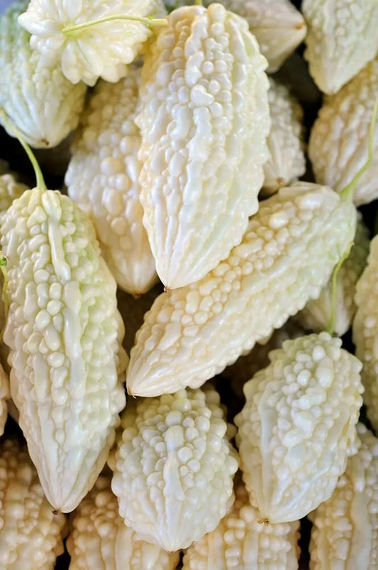Exotic Bitter Gourd Seeds - 10 Pack, White Variety, Bitter Melon (Momordica charantia) for Planting