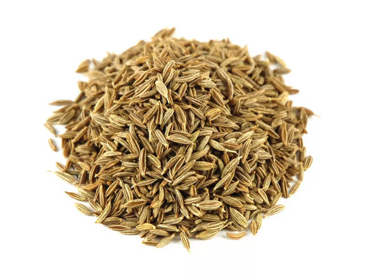 Cumin Herb Seeds 250+ Fresh Seeds Cuminum cyminum Culinary Spice Gardening