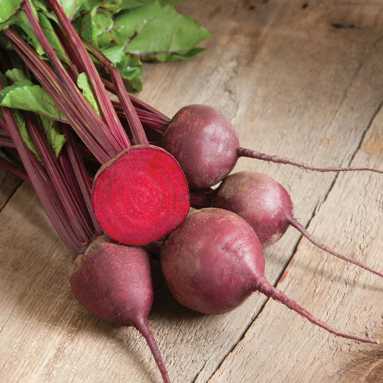 Beet Seed - Ruby Queen Variety - Fresh Organic Beet Seeds for Planting (Beta vulgaris)