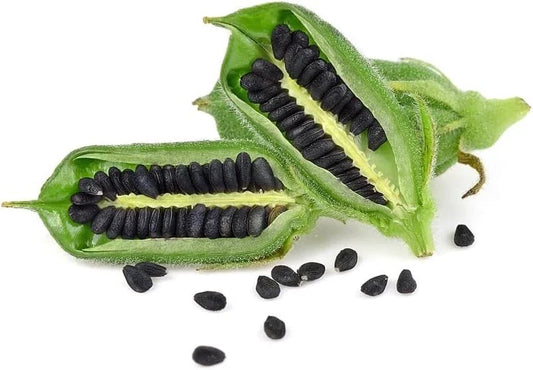 Black Sesame Seeds for Planting - Kurogoma, 500 Seeds, Organic, Edible, Sesamum indicum