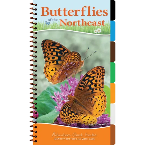 Butterflies of the Northeast: Identify Butterflies with Ease