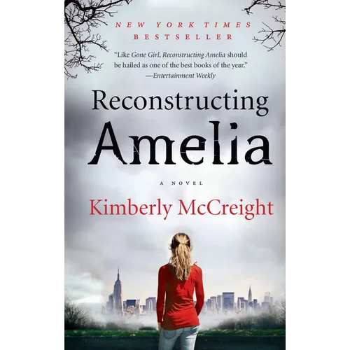 Reconstructing Amelia