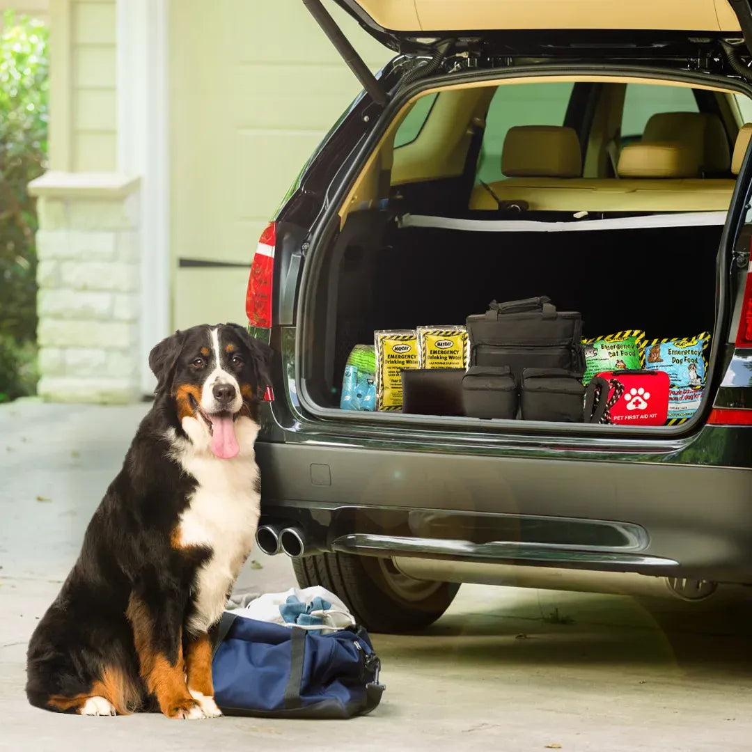 The Safe Pet Kit: Must-Have Pet Kit for Disaster Situations