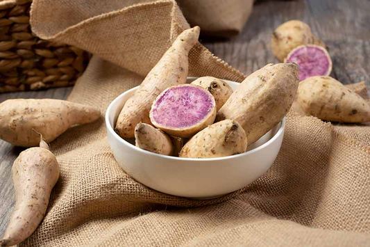 Okinawa Purple & Beauregard Sweet Potato Cuttings, 5 Each, Ipomoea batatas, for Planting