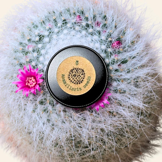 Mammillaria mix "Pincushion Cactus" Seeds
