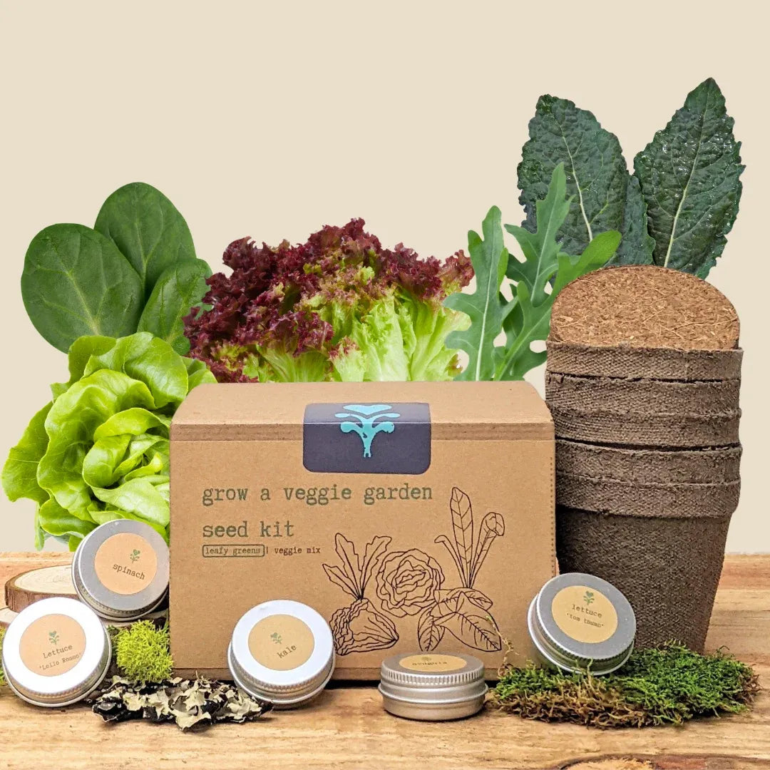 "Grow a Veggie Garden" Leafy Greens Seed Kit
